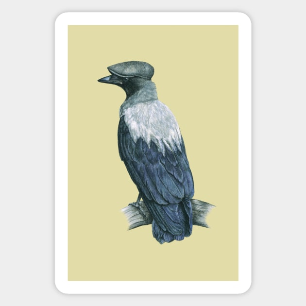 Hooded crow Sticker by Mikhail Vedernikov